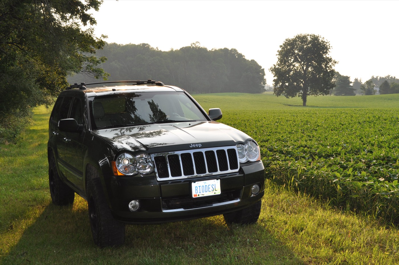 Biodiesel-Powered Vehicle at Soybean Farm